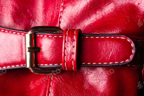 Preview: Closeup Of Buckles, Clasps, Zippers, Pockets, Fasteners, Fittings And Seams On Red Leather Hand Bag