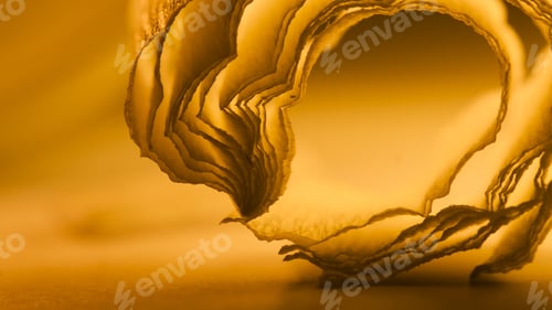 Preview: Colorful Abstract Composition With Orange Crepe, Lights And Shadows