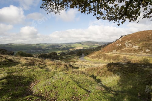 Preview: Derbyshire Dales Scene