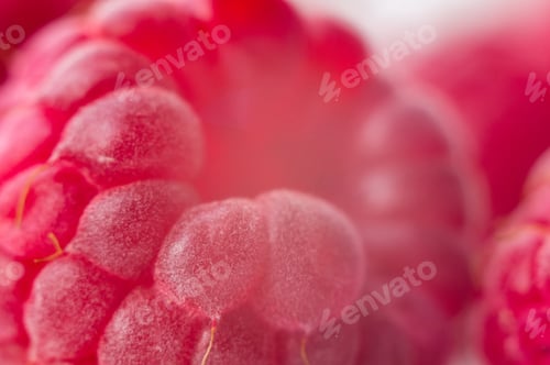Preview: Raspberries On A White Saucer Close Up, Macro Photo