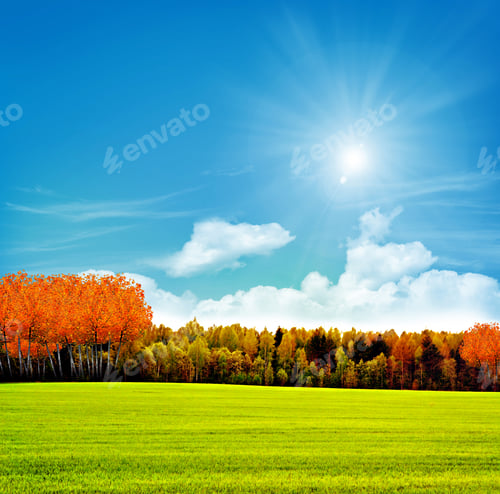 Preview: Autumn Landscape