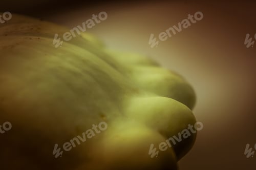 Preview: Squash, Patisson, Bush Pumpkin - Closeup, Filtered For Retro Effect