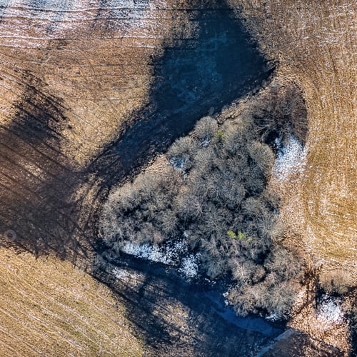 Preview: Aerial View Over The Trees