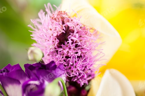 Preview: Floral Arrangement In A Beautiful Bouquet