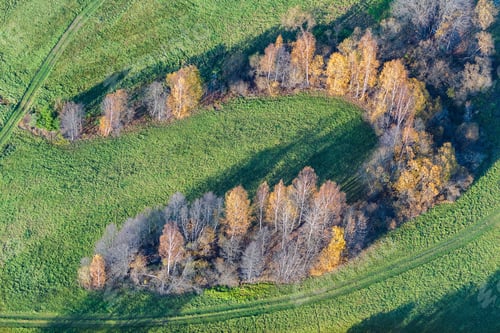 Preview: Aerial View Over The Colourful Trees And Fields In Autumn