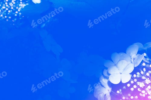 Preview: Blossoming Branch Viburnum. Bright Colorful Spring Flowers. Beautiful Nature Scene