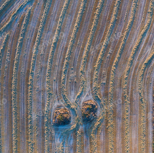 Preview: Aerial View Of The Agricultural Landscape In Villatomil Village Of Medina De Pomar Municipality In