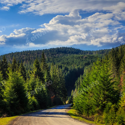 Preview: Asphalt Road Going Off Into The Distance On The Left, Passes Through The Green Shaded Forest On