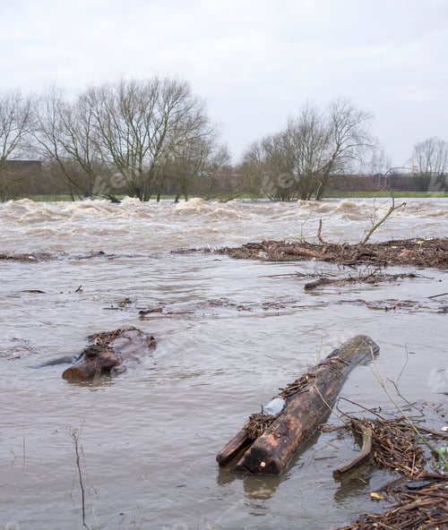 Preview: Logs Floating In A Flooded River