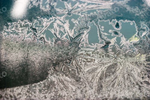Preview: Ice Flowers On Glass - Texture And Background