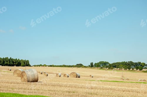Preview: Straw Bales On A Summer Farmland In The Dorset Countryside