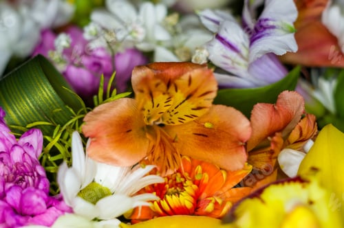 Preview: Beautiful Gift Bouquet Of Various Colorful Decorative Summer Flowers