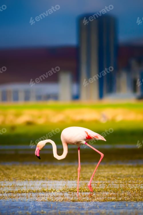 Preview: Nature And Industry. Death Of Nature.