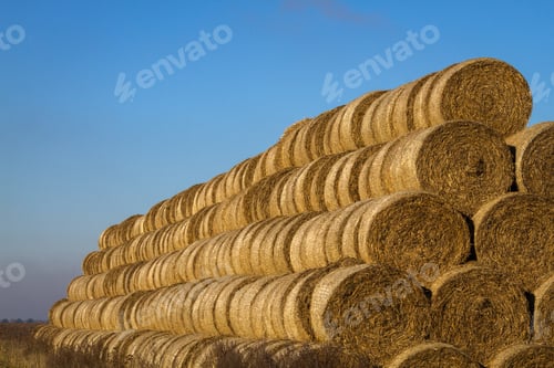 Preview: Hay Roll Stack On The Field