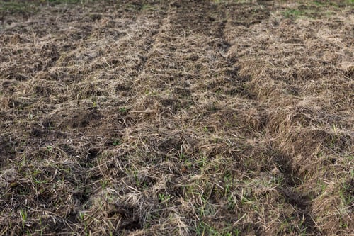Preview: Plowed Plot Of Land. Reclamation Of The Garden. A Bunch Of Old Branches After Cleaning The Yard.