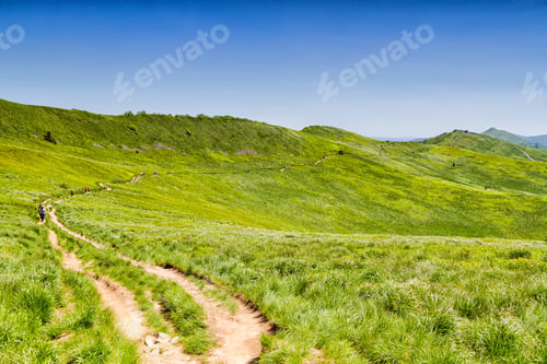 Preview: Mountains Scenery. Panorama Of Grassland And Forest In Bieszczady National Park. Carpathian