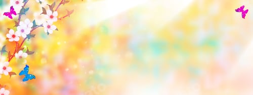 Preview: Butterfly. Blossoming Branch Cherry. Bright Colorful Spring Flowers