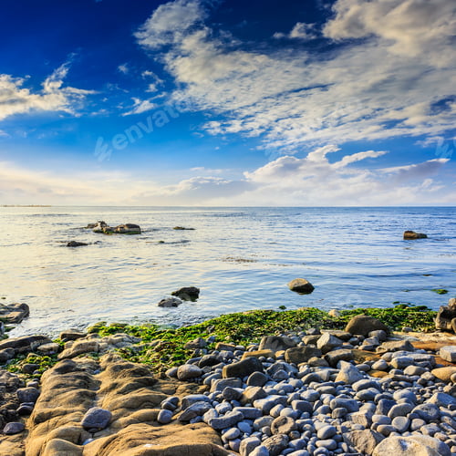 Preview: Sea Wave Touch The Coast And Bring Seaweed
