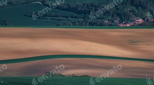 Preview: South Moravia Landscape And Farmland In The Spring With Rapeseed In The Fields.