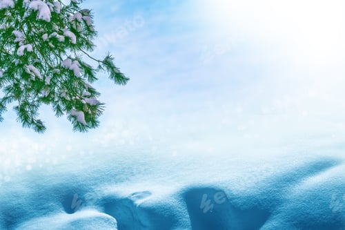 Preview: Frozen Winter Forest With Snow Covered Trees.