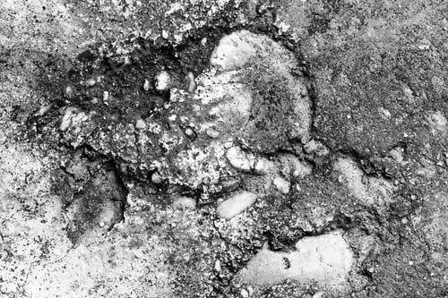 Preview: Abstract Composition With Very Old Stone Texture And Inverted Colors