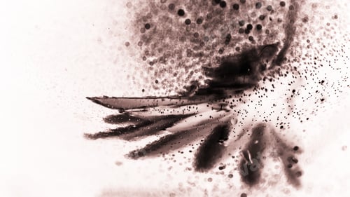 Preview: Abstract Underwater Composition With Dried Flower, Bubbles And Light