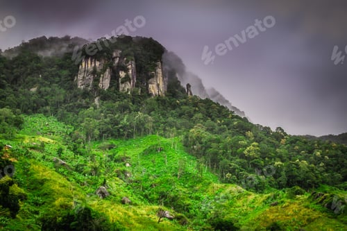 Preview: Stunning Tropical Landscape Of Madagascar Highlands