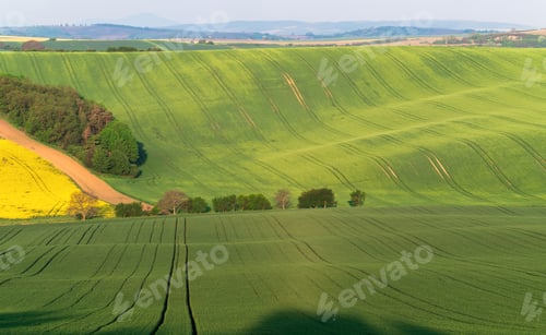 Preview: South Moravia Landscape And Farmland At Sunrise