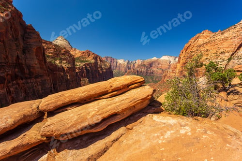 Preview: Nature Landscape Of Zion National Park, Usa. This Nature Landscape Is Taken At Observation Point In
