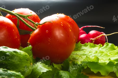 Preview: Stilllife - Tomatoes On Twig, Cucumbers, Lettuce And Cilantro On A Wooden Board