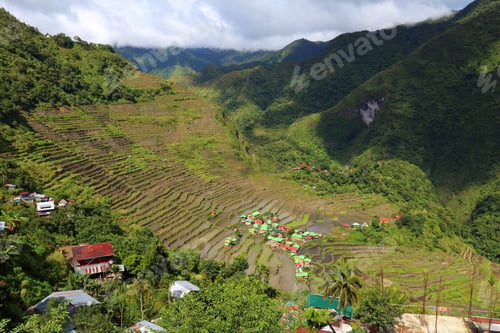 Preview: Philippines Rice Terraces - Rice Cultivation In Batad Village (Banaue Area).