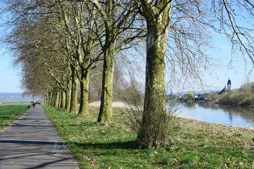 Preview: Weser Cycle Path Near Höxter In Spring
