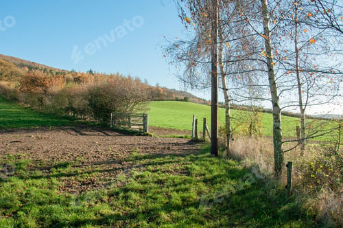 Preview: Autumnal Landscape In The English Countryside.