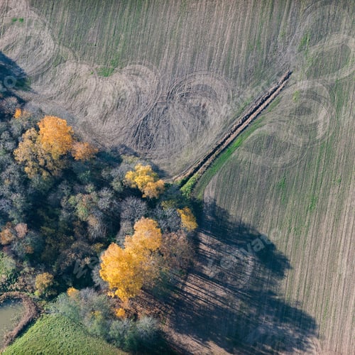 Preview: Aerial View Over The Colourful Trees And Fields In Autumn