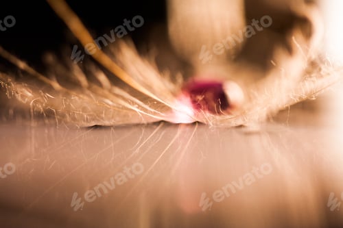 Preview: Macro, Abstract Composition With Colorful Water Drops On Dandelion Seeds