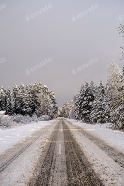 Preview: Car Tracks In The Snow On The Winter Road In Sunny Day With Frost On The Trees