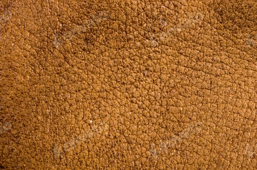 Preview: Old Vintage Genuine Soft Brown Leather Texture Background, Top Layer With Pores And Scratches