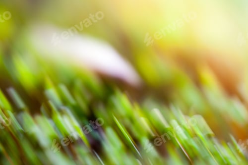 Preview: Natural, Colored Abstract Background With Bokeh