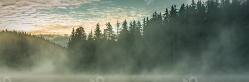 Preview: Pine Trees Forest Stylized Silhouette Photo Sunset Sunrise Banner Background With Clouds And Lake