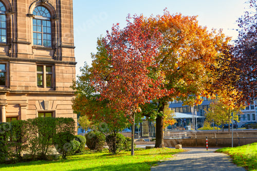 Preview: Multicolored Autumn In The City . Pathway In The Urban Park