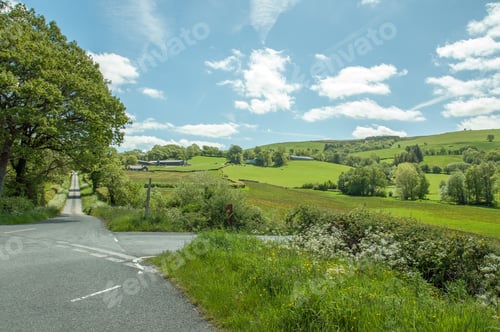 Preview: Country Lane In The British Summertime.
