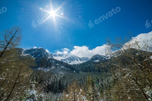 Preview: Winter In Slovakia Tatra Mountains. Peaks And Trees Covered In Snow With Blue Sky On Sunny Day