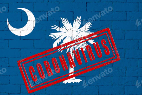 Preview: Flag Of The State Of South Carolina Painted On Grungy Brick Wall Background. With Stamp