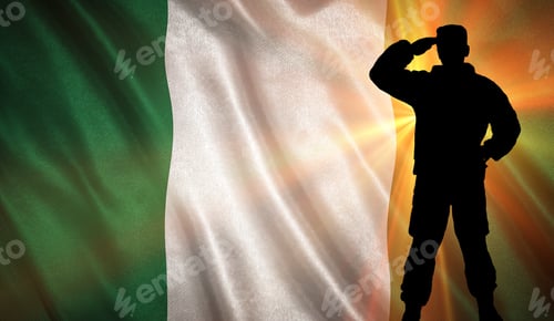 Preview: Flag With Original Proportions. Flag Of The Nigeria