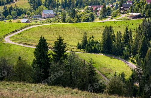 Preview: Winding Road To Village Through Grassy Hillside With Spruce Forest. Lovely Early Autumn Countryside
