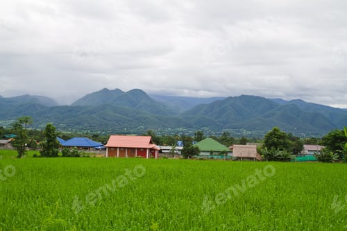 Preview: Farmland Near The Village, Around Pai, Thailand.