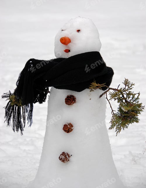Preview: Snowman'S Portrait