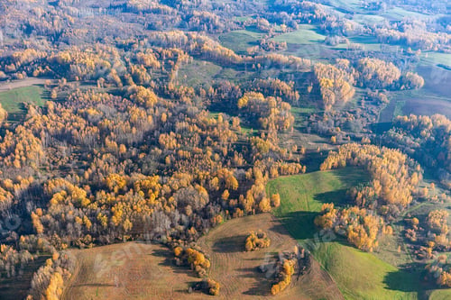 Preview: Aerial View Over The Trees In Autumn