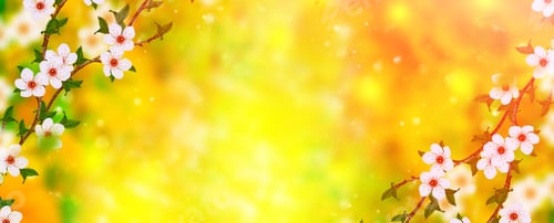 Preview: Blossoming Branch Cherry. Bright Colorful Spring Flowers