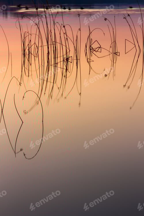 Preview: Colorful Lake. Water Background.